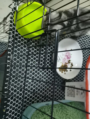  猫笼