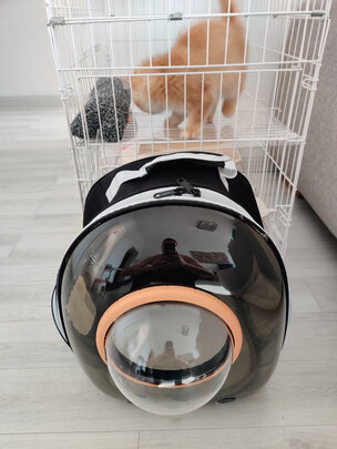 猫包