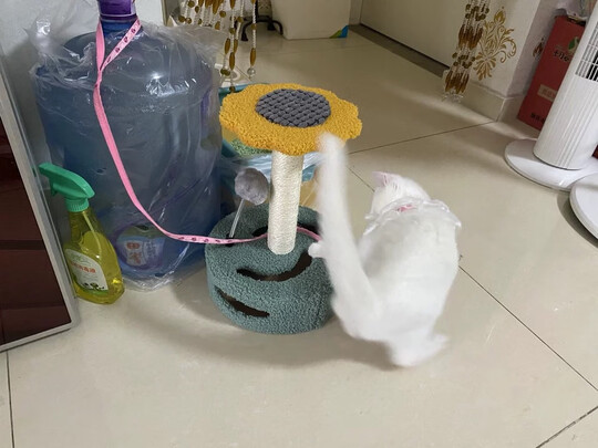 猫爬架