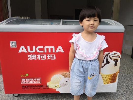 冷柜|澳柯玛SD-338HA冷柜如何,值得入手的原因分享！