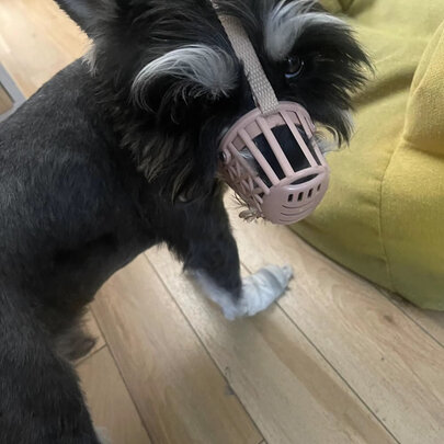狗狗嘴套