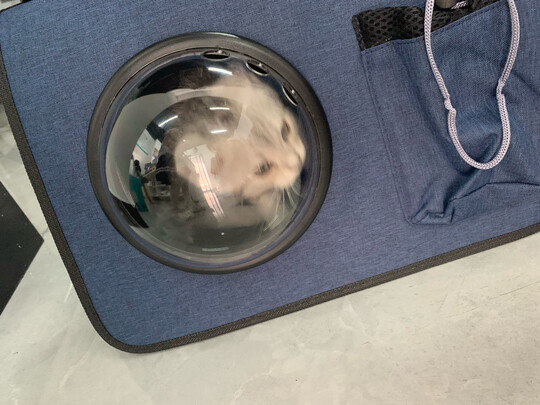 宠物包