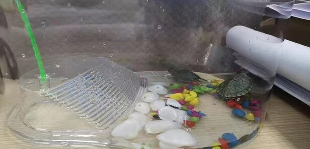 乌龟缸