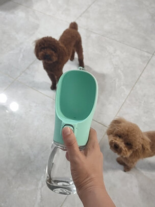 宠物水壶