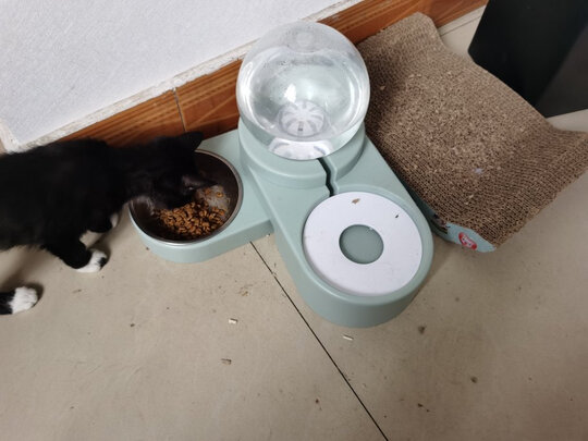 宠物饮水机