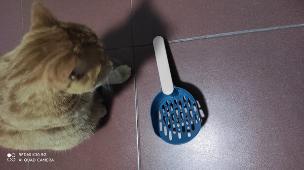 猫砂铲