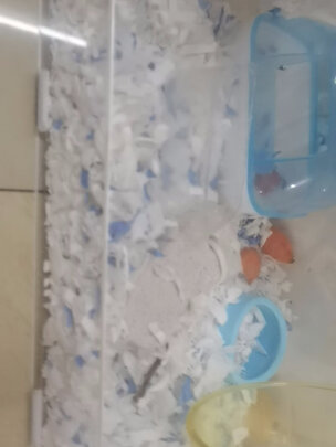 仓鼠木屑