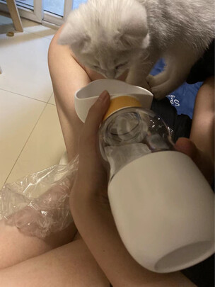 宠物水壶
