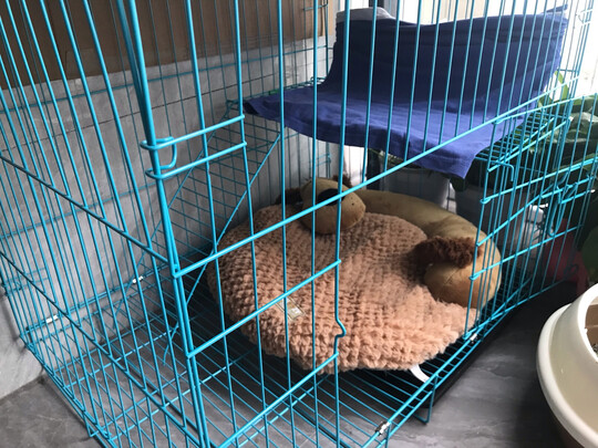  猫笼