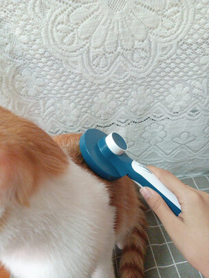 狗毛猫毛清理器