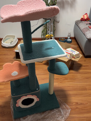 猫爬架