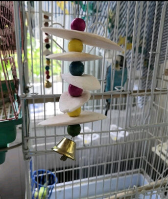 鸟笼