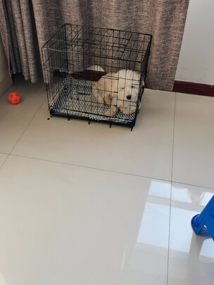  狗笼