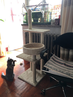 猫爬架