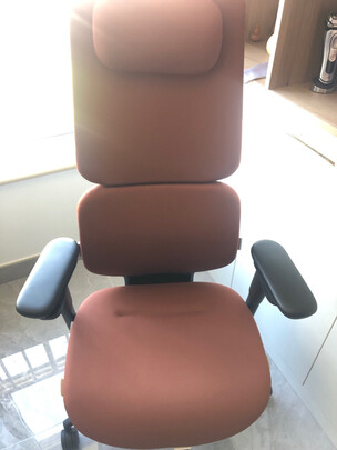 ZUOWE座為人體工學椅電腦椅|知乎評測：ZUOWE座為人體工學椅質量怎么樣?到底值不值得入手呀？