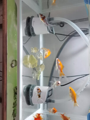 鱼缸潜水泵