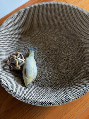 猫窝