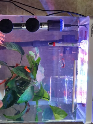 鱼缸灯led灯