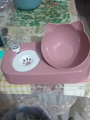 猫碗狗碗