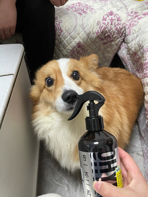 宠物除臭剂