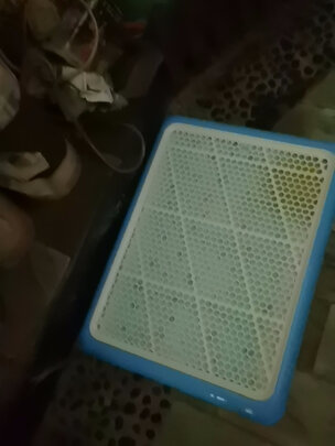 狗厕所