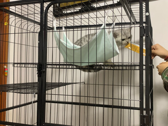  猫笼