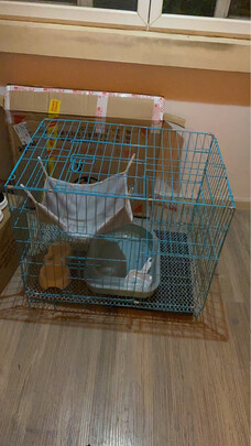  猫笼