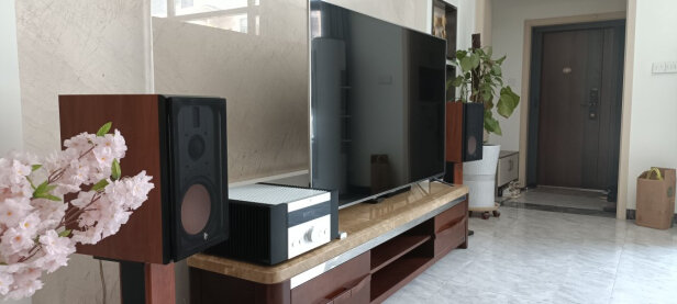 %title插图%num 天逸(Winner) AD-3D 高保真发烧HIFI大功率放大器 纯甲类投影机音响家用数字解码功放机 套餐3:搭配惠威D8.1