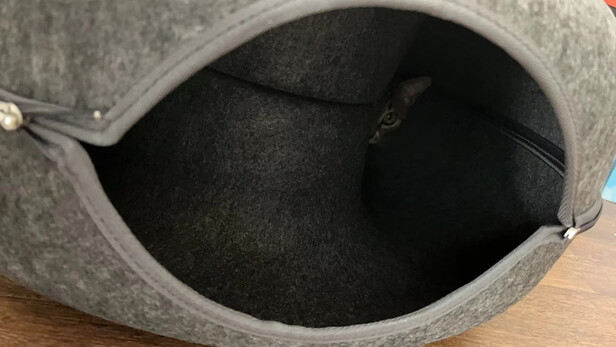 猫窝