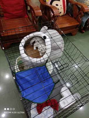  猫笼