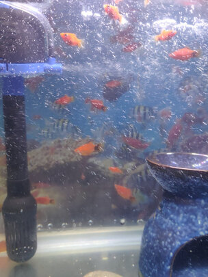 鱼缸水泵