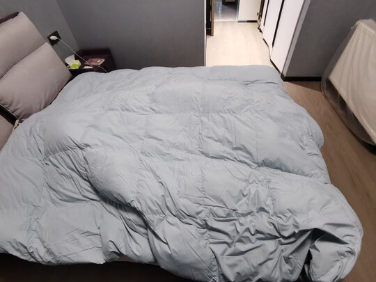 网易严选95%高纯白鹅绒羽绒被 升级防螨（前车之鉴）有必要告诉大家真相