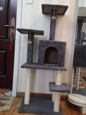 猫爬架