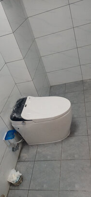 德国博致智能马桶一体机|「用后真实感受」德国博致智能马桶一体机质量怎么样?用后一周讲体验真相?