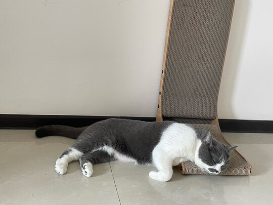 猫抓板