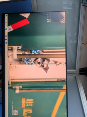 戴尔P2422H评判质量差有依据吗？