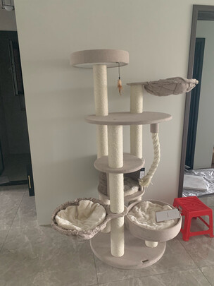 猫爬架