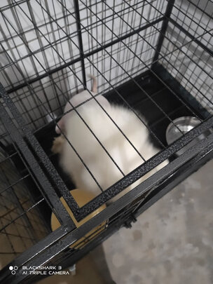  狗笼