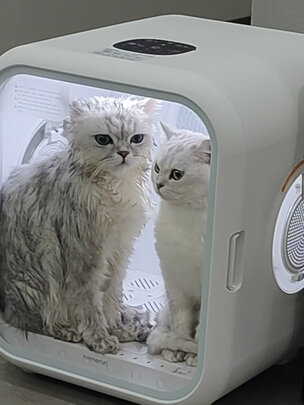 宠物烘干箱
