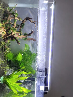 鱼缸水草灯