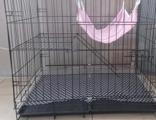  猫笼