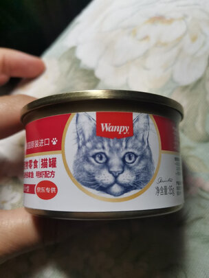 猫罐头