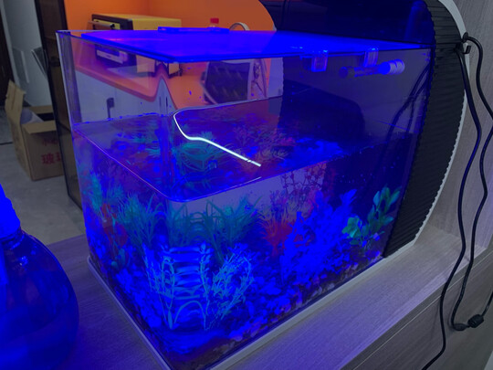鱼缸造景石头
