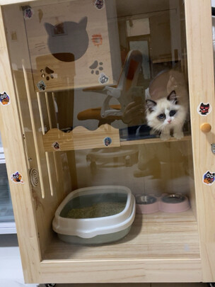  猫笼