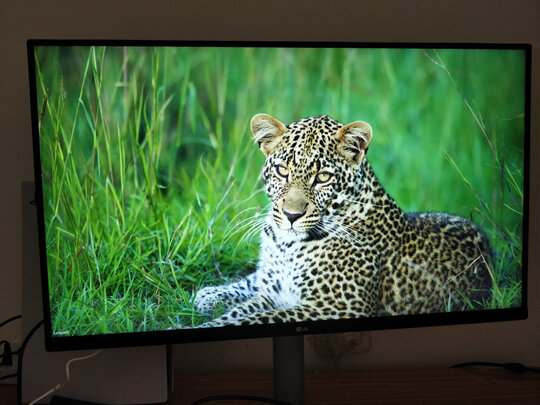 LG32UN650-W实例评测图文解说