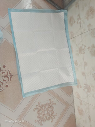 宠物纸尿裤