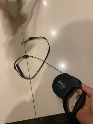 狗绳