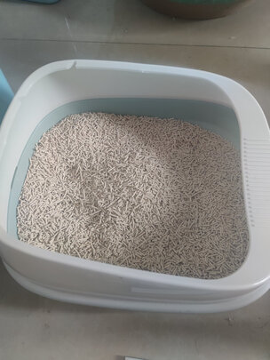 豆腐猫砂