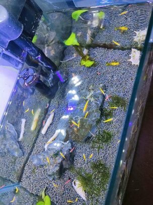 水草泥