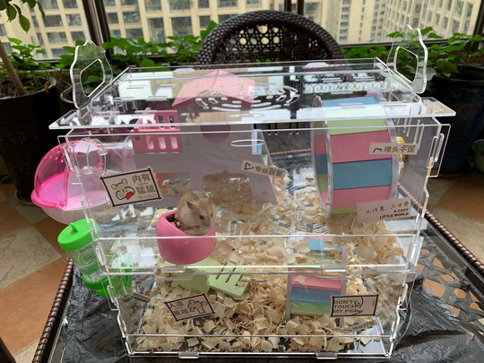 仓鼠笼子